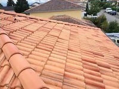Démoussage d'une toiture en tuiles : deux vues avant / après