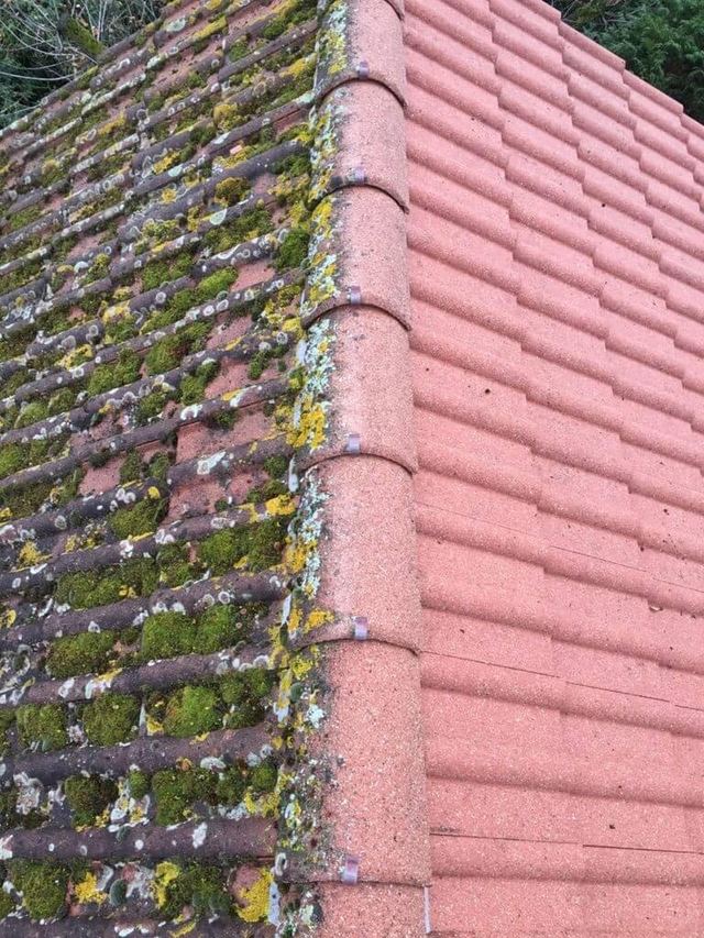Toiture en tuiles béton : à gauche tuiles couvertes de mousse et de lichens, à droite tuiles nettoyées, secteur de Orry-la-Ville